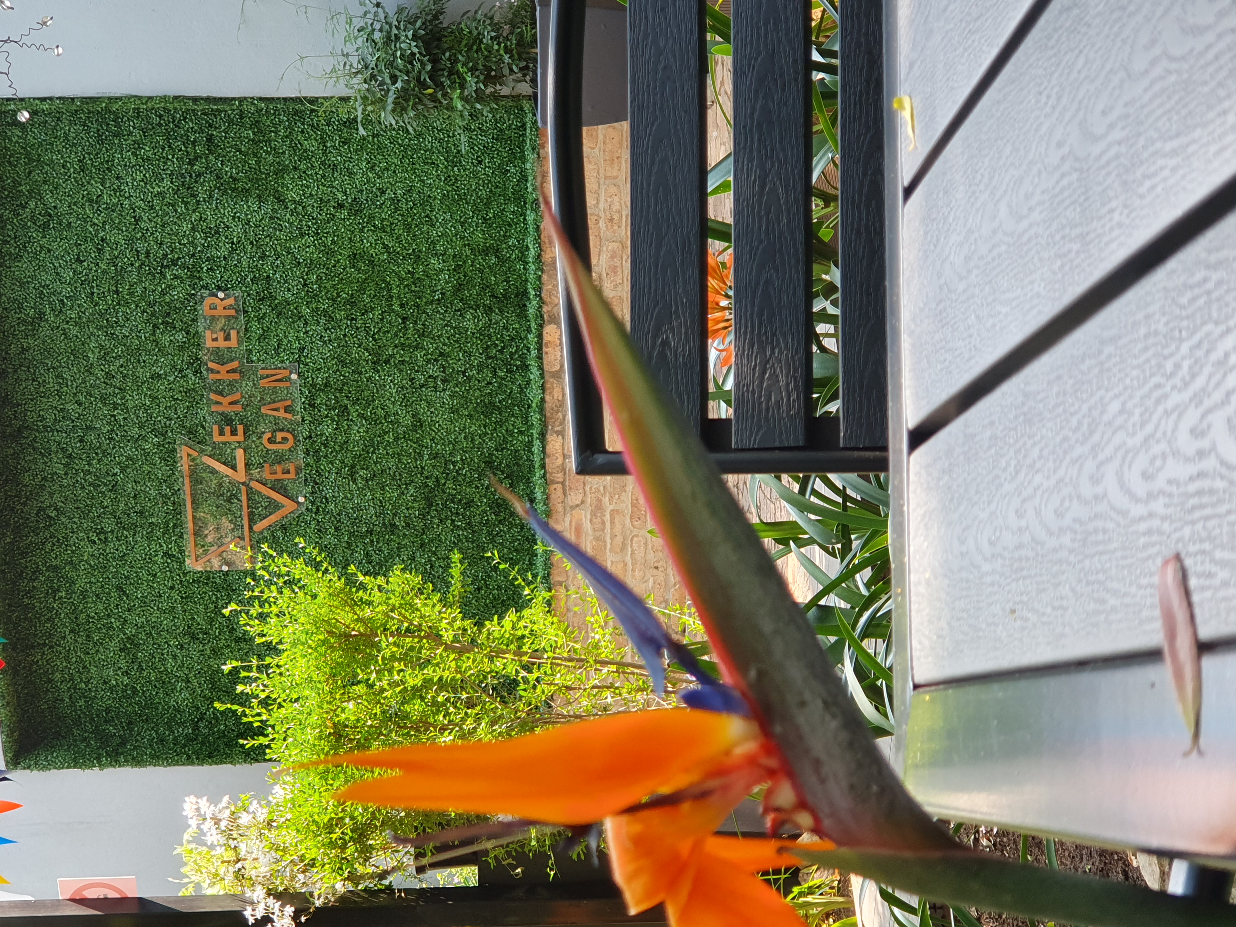 Lekker Vegan Gallery Image 7